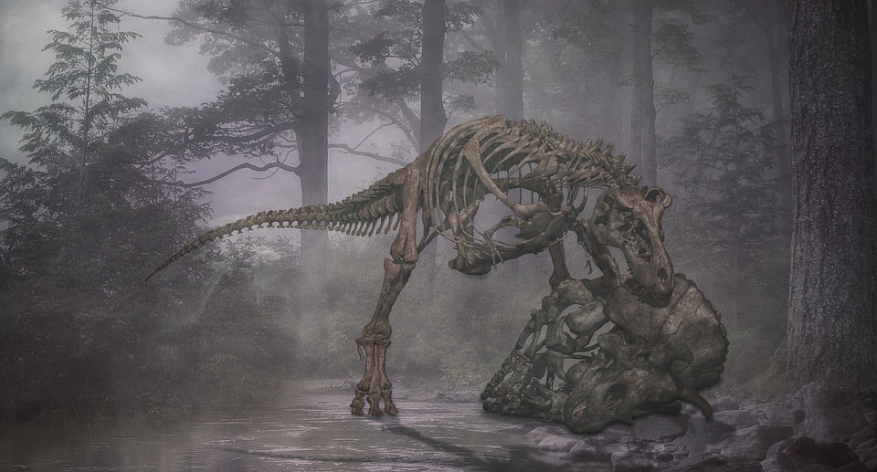 Imagem de fóssil de T-rex